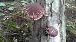 20100228143006.jpg