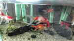 20100225072348.jpg