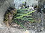20100312080223.jpg