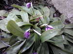 20100314103955.jpg