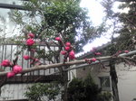 20100321142221.jpg