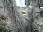 20100321142245.jpg