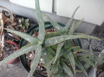 20100321142425.jpg
