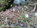 20100321142317.jpg