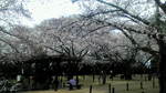 20100411110405.jpg