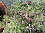 20100622143925.jpg