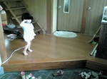 20100704172938.jpg