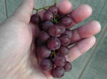 20100820075524.jpg